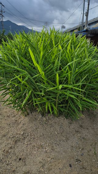 최용운님의 자유주제 · 자유게시판 작성글 사진