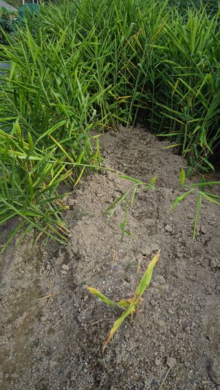 최용운님의 자유주제 · 자유게시판 작성글 사진