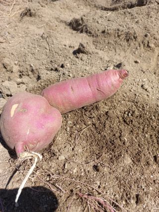 전국하님의 자유주제 · 자유게시판 작성글 사진