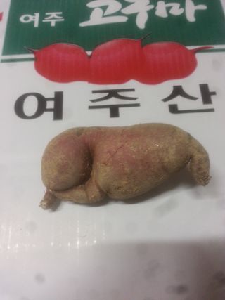 전국하님의 자유주제 · 자유게시판 작성글 사진