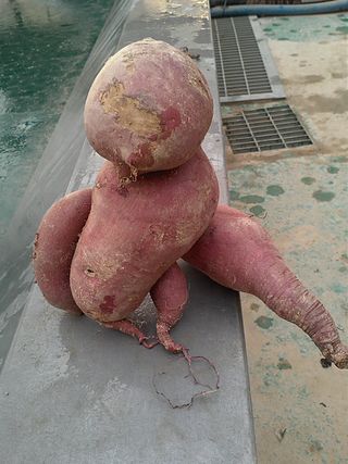 전국하님의 자유주제 · 자유게시판 작성글 사진