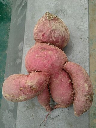 전국하님의 자유주제 · 자유게시판 작성글 사진