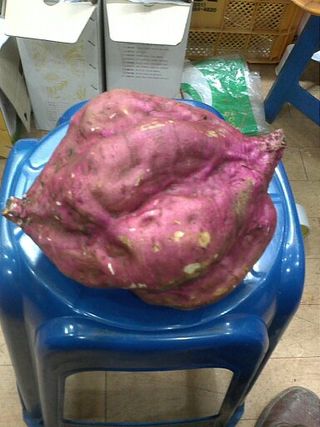 전국하님의 자유주제 · 자유게시판 작성글 사진