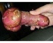 전국하님의 자유주제 · 자유게시판 작성글 사진