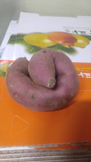 전국하님의 자유주제 · 자유게시판 작성글 사진