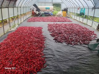 우양수님의 자유주제 · 자유게시판 작성글 사진