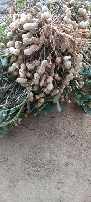 유종수님의 자유주제 · 자유게시판 작성글 사진