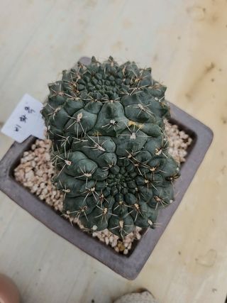 이연옥님의 자유주제 · 자유게시판 작성글 사진