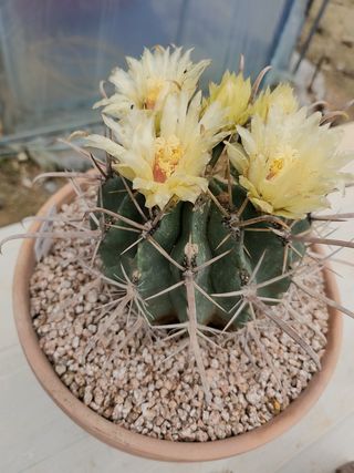 이연옥님의 자유주제 · 자유게시판 작성글 사진