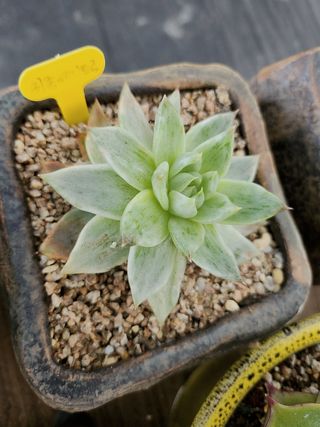 이연옥님의 자유주제 · 자유게시판 작성글 사진