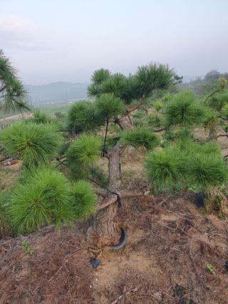 알 수 없음님의 자유주제 · 자유게시판 작성글 사진