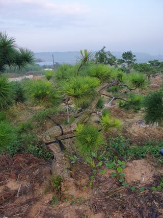 알 수 없음님의 자유주제 · 자유게시판 작성글 사진