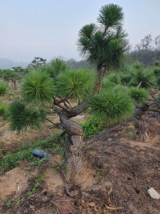 알 수 없음님의 자유주제 · 자유게시판 작성글 사진
