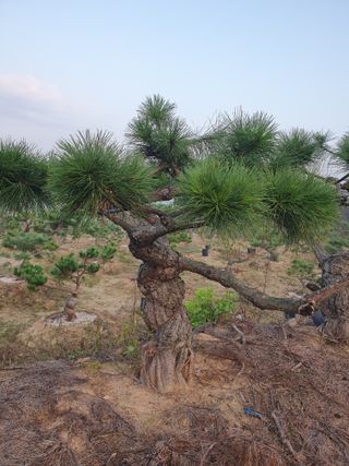 알 수 없음님의 자유주제 · 자유게시판 작성글 사진