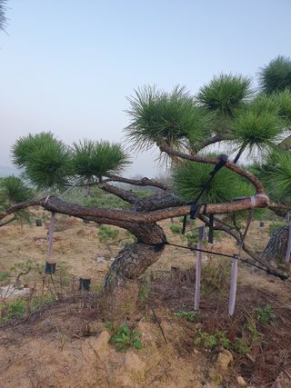 알 수 없음님의 자유주제 · 자유게시판 작성글 사진