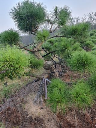 알 수 없음님의 자유주제 · 자유게시판 작성글 사진