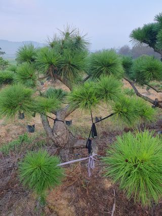 알 수 없음님의 자유주제 · 자유게시판 작성글 사진