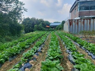 김성원님의 자유주제 · 사진전 작성글 사진