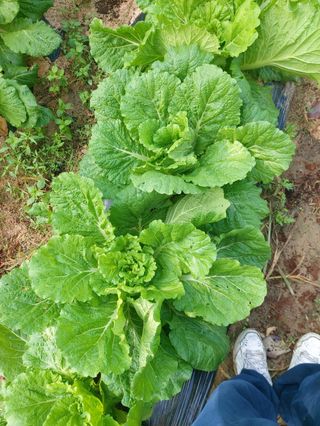 김성원님의 자유주제 · 사진전 작성글 사진