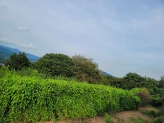 사과농사님의 자유주제 · 자유게시판 작성글 사진