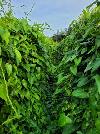 사과농사님의 자유주제 · 자유게시판 작성글 사진