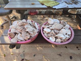 아별여님의 버섯 · 영농일지 작성글 사진