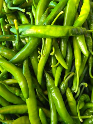 선비 농군님의 작성글 사진