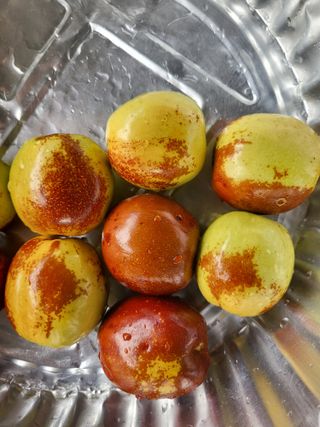 이동엽(양지팜)님의 자유주제 · 자유게시판 작성글 사진