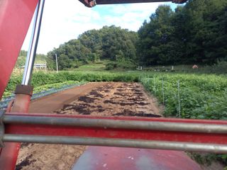 박수웅 님의 마늘 · 영농일지 작성글 사진