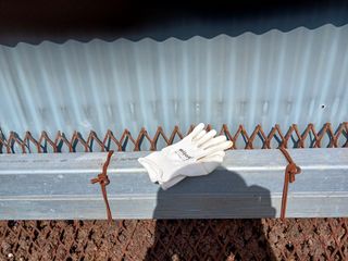 알 수 없음님의 자유주제 · 자유게시판 작성글 사진