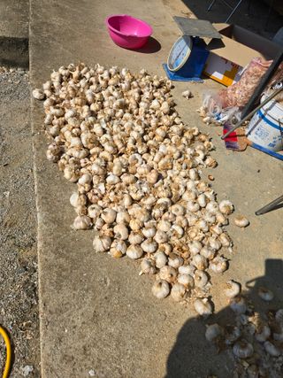 자연인님의 자유주제 · 자유게시판 작성글 사진