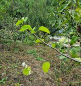 팜모닝 자유주제·자유게시판 게시글 이미지