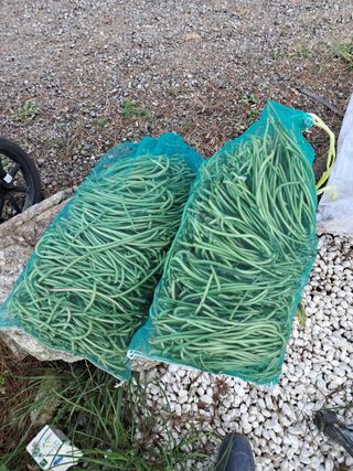 농부의약속님의 자유주제 · 자유게시판 작성글 사진