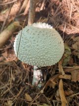 팜모닝 자유주제·자유게시판 게시글 이미지