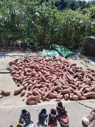 유경희님의 자유주제 · 자유게시판 작성글 사진