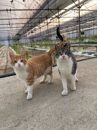 김대민님의 자유주제 · 자유게시판 작성글 사진