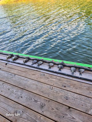 김정술님의 자유주제 · 자유게시판 작성글 사진