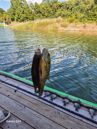 김정술님의 자유주제 · 자유게시판 작성글 사진