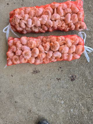 자연인님의 자유주제 · 자유게시판 작성글 사진