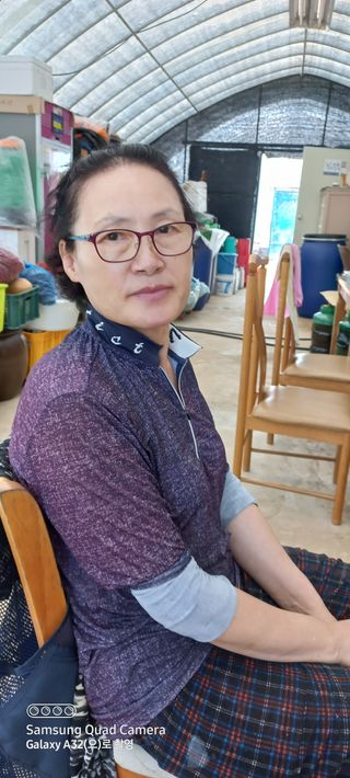 황소 한승복님의 감자 · 자유게시판 작성글 사진