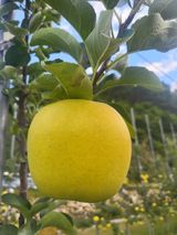 팜모닝 · 게시글 이미지