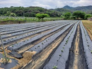 땅콩맘님의 자유주제 · 자유게시판 작성글 사진