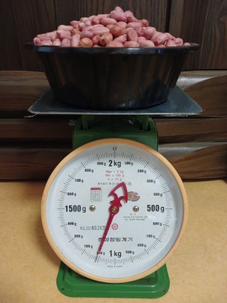 땅콩맘님의 자유주제 · 자유게시판 작성글 사진