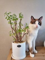 팜모닝 팜모닝·출석 게시글 이미지