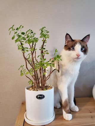 경정아님의 팜모닝 · 출석 작성글 사진