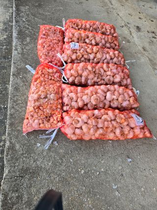 자연인님의 자유주제 · 사진전 작성글 사진