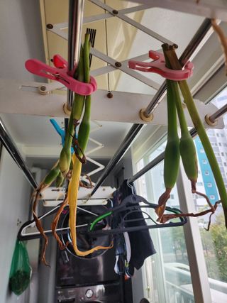 임정여님의 자유주제 · 자유게시판 작성글 사진