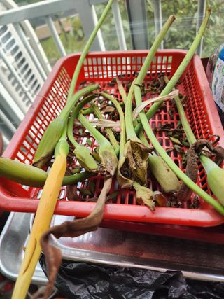 임정여님의 자유주제 · 자유게시판 작성글 사진