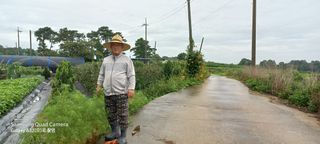 황소 한승복님의 팜모닝 · 출석 작성글 사진