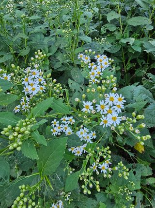 νμ²μ°μ±λμλμ μμ μ£Όμ Β· μμ κ²μν μμ±κΈ μ¬μ§